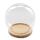 Glass Display Cloche Bell Jar Dome Flower Vase & Wooden Base 15cmx14cm (DXH)