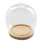 Glass Display Cloche Bell Jar Dome Flower Vase & Wooden Base 15cmx14cm (DXH)