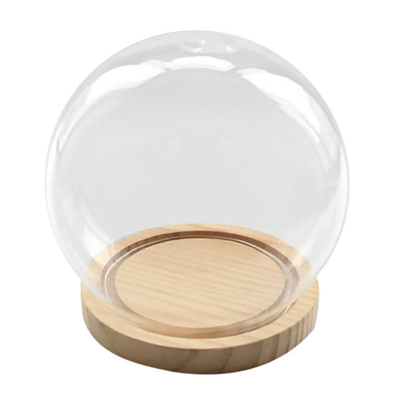 Glass Display Cloche Bell Jar Dome Flower Vase & Wooden Base 15cmx14cm (DXH)