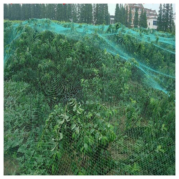 4x10m Green Anti Bird Netting , Plant net / Fruit Tree Bird Netting