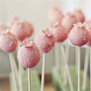 100pcs  Food Sucker Sticks Chocolate Cake Lolli Sweet Candy Mold 15cm Ed J&kJC3C