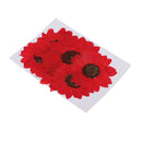 6pcs Pressed Dried Real Flower Sunflower Scrapbooking Embellishments Red