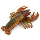 Realistic Solid Underwater World Animals Models Lifelike Large Size Lobster U8T5