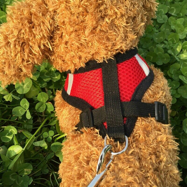 Adjustable Pet Dog Leads Chest Straps Small Pet Basic Halter Harnesses keep