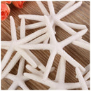 12pcs 10-12cm Beautiful White Finger Starfish Beach Wedding House Crafts De