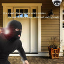 Simulation Virtual Dome Camera False Hemisphere Camera with Flashing Light