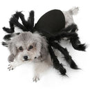Pet Spider Harness Costume Halloween Holiday Party for Cat and Puppy - Small Pet