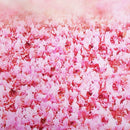 3*5FT Romantic Flower Wedding Backdrop Vinyl Studio Photography Background