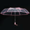 Transparent Umbrella Automatic Umbrella Rain Women Men Sun Rain Auto Umbrel B2Z1