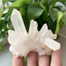 20-30g Natural White Clear Healing Quartz Crystal Cluster Mineral Specimen AU