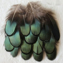 20X/Set Caragana Feathers Green Natural Feather 4-7cm Decor Making FeathES