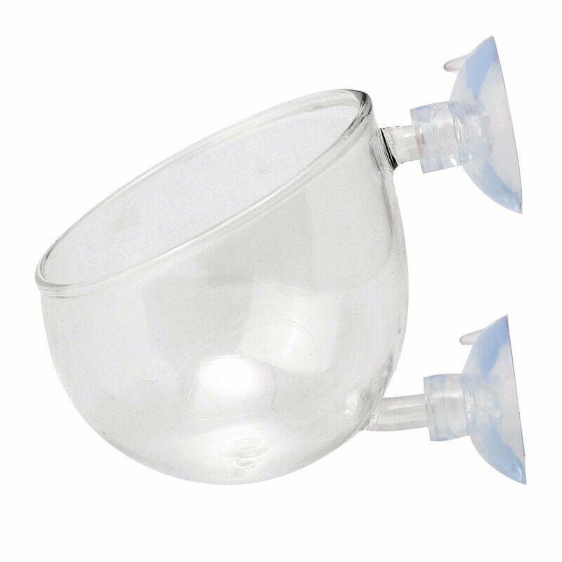 5X(Aquarium Seeds Water Grass Pots Easy Aquatic Live Plant Fish Tank Decor Z9P9)