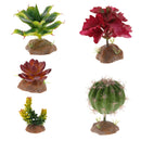 2Pack Reptile Succulent Plants Fish Tank Ornament Desert Plant Artificial