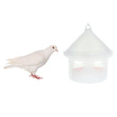 Plastic Bird Pigeon House Feeder Auto Hamper Water Food Fountain Charging Basket