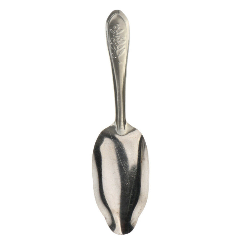 Pack Of 5 Stainless Steel Spoons For Parrot Milk For Pet Birds