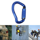 Screwgate Carabiner