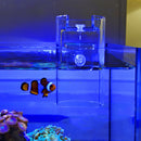 Aquarium Fish Tank Transparent Circle Ring Fish Feeding Floating Food Tray,