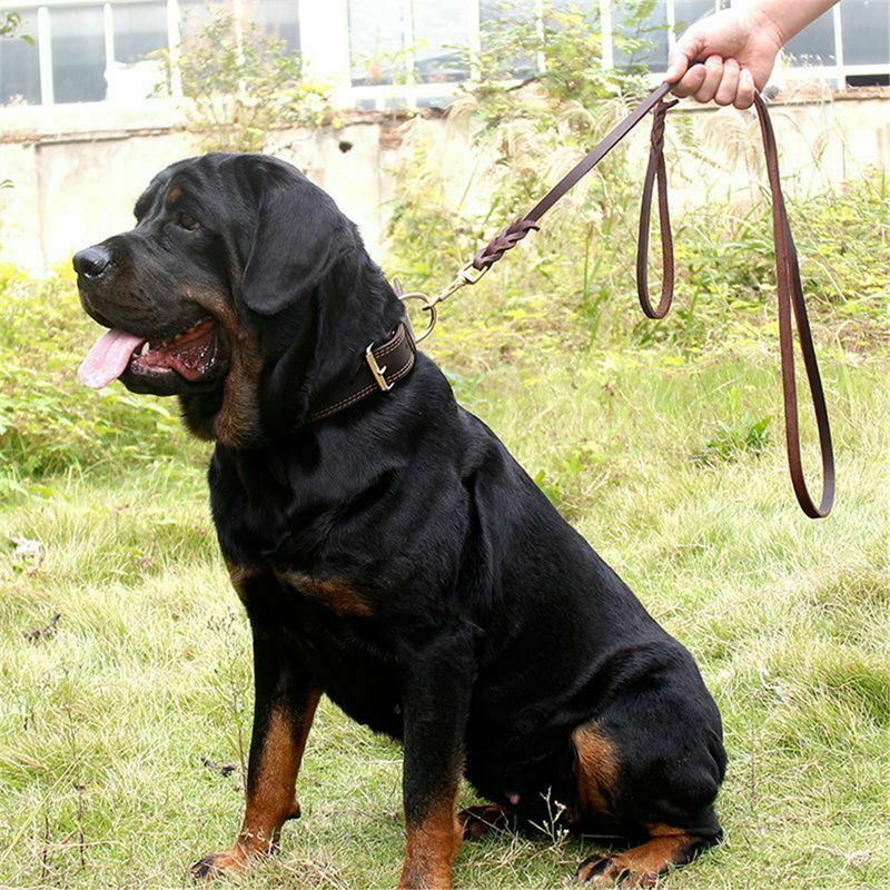 2M Long Leather Braided Pet Dog Walk Traction Collar Strap Training Leash L U4L9
