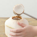 Opener Tool Set for Young Coconut Coconut Opener Set with Hammer for a Safe E8Z7