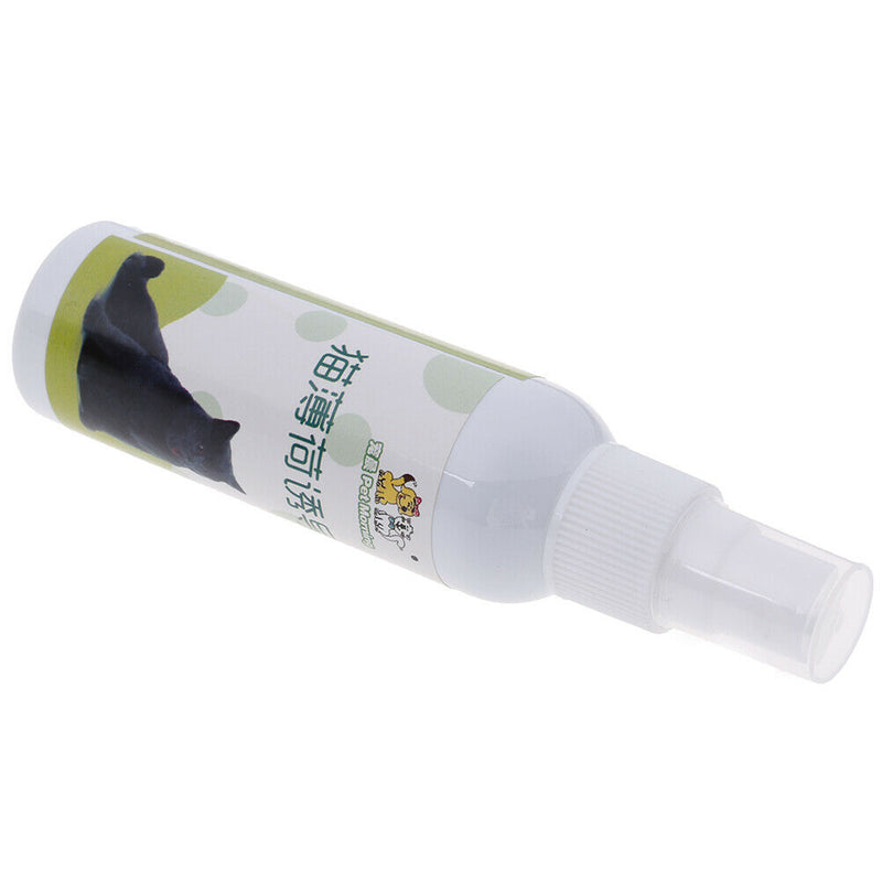 50ml Natural Catnip Spray Cat Plate Inducer Fresh Extract Cat Catnip Nã€