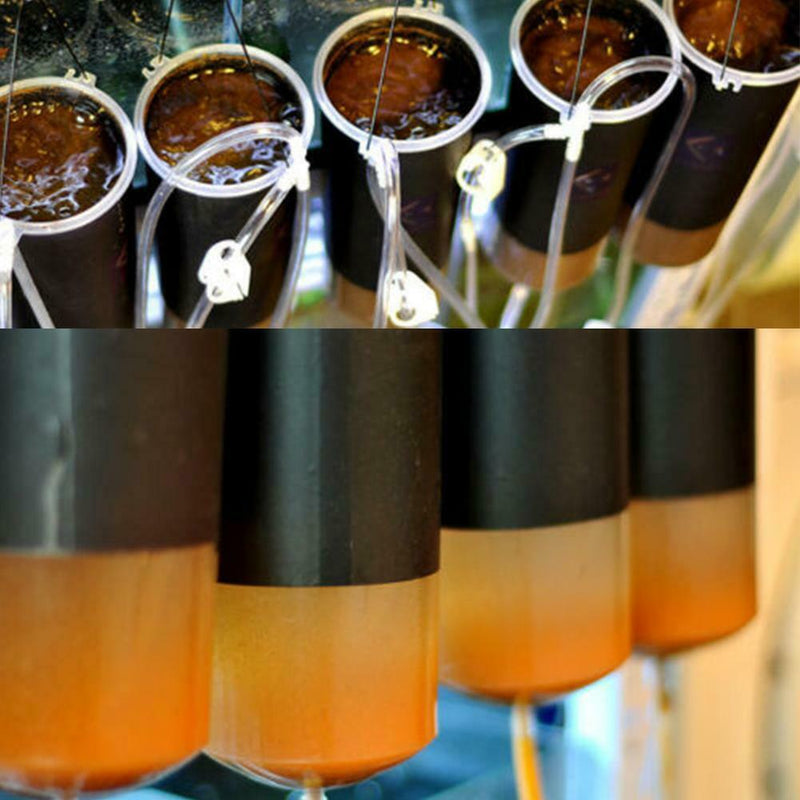 Brine Shrimp Incubator Fish Food Baby Fish Feed Fairy Shrimp Egg Hatch Tool