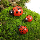 100Pcs Mini Ladybird Wooden Multi-Color Ladybugs Micro Landscape Decor Mixed