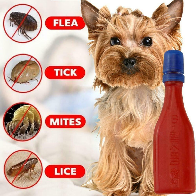 Practical Flea Lice Insect Rejection Spray Mites Ticks Drops For Puppy Cat