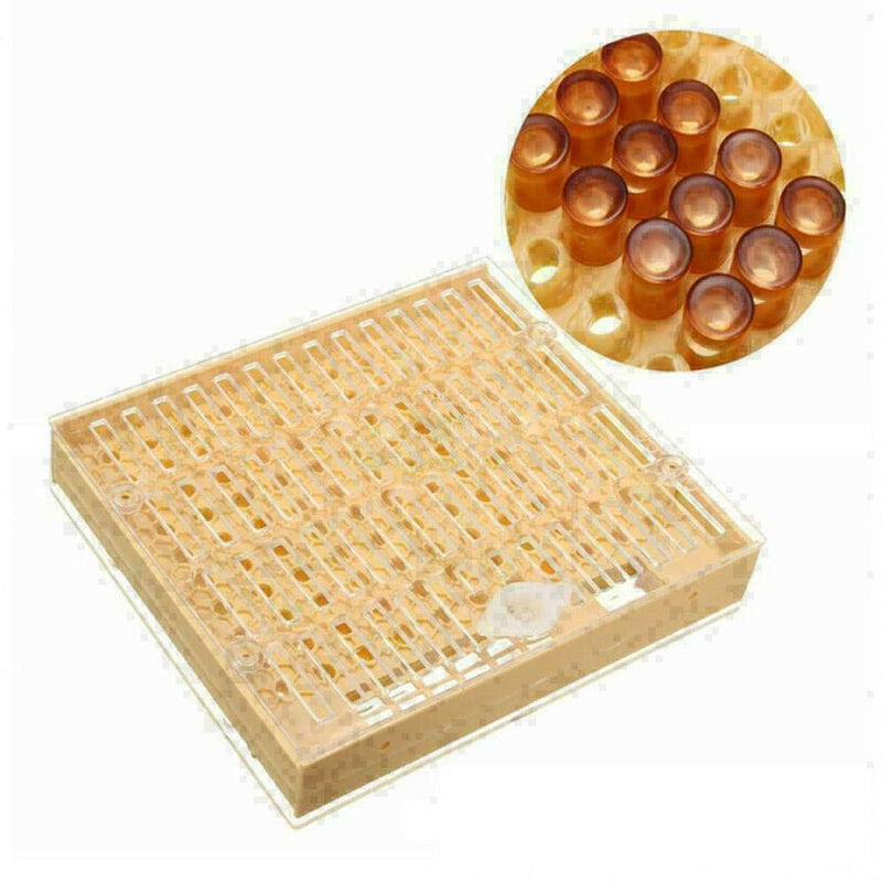131pcs Bee Queen Rearing Cupkit Box System Beekeeping Cell Cage Tool Cup Ki H4N9
