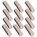 Pack of 12 Pieces Professional Pickup Pole Slug Metal Pins Cyclinder Magnet Y7O7