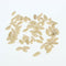 Cucumber - White Angel Organic Vegetable Seed