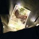 2xLED Light String w/ Clear Photo Clips for Indoor/Outdoor Decoration 50led