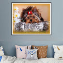 Diamond Picture Rhinestones Diamond Embroidery Dog Sale Full Square Diamond K4B2