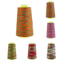 6 Spools 40S/2 Polyester Thread Kit All Purpose for Upholstery Drapery