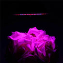 E27 200 LED Plant Grow Light Lamp Flower Seeds Growing Lights Bulbs Hydropo