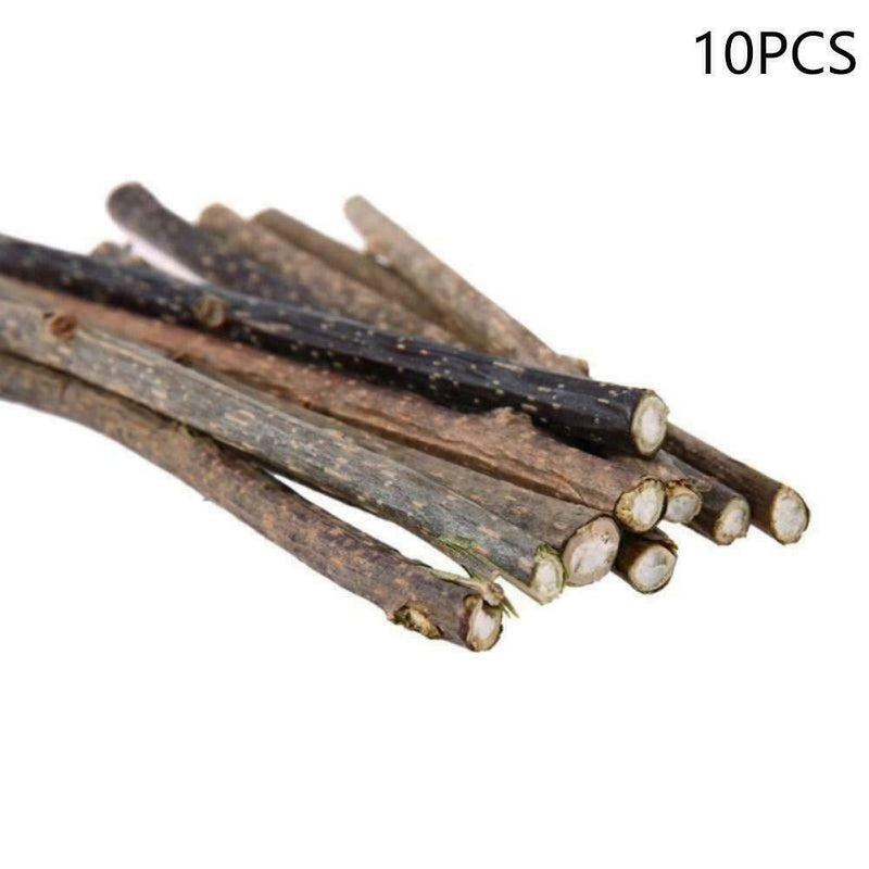10x Cat Snacks Natural Matatabi Chew Catnip Stick Teeth Cleaning Molar Brus Q1Q9