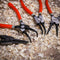 Portable 7" Internal External Retaining Clips Snap Ring Circlip Pliers 4pcs Set