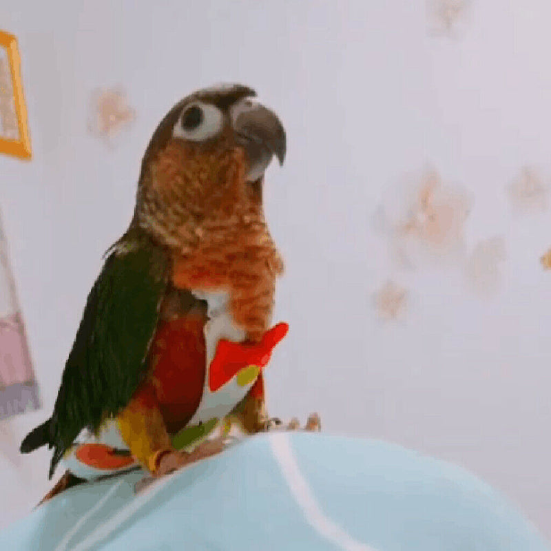 2 Pcs Fashion Parrot Diaper Bird Pee Poo Pad Nappy for Parrots Conure Finch