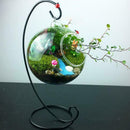 10cm Heart Iron Hanging Glass Tea Light Candle Holder Mini Flowerpot_ Black
