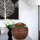 Essential Oil Diffuser (2 Pieces), Aroma Diffuser with LED Light, Essential