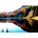 Full Round Drill Diamond Drawing Lake Forest Landscape DIY Painting Kit