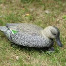33cm Female Duck Plastic Decoy Garden Yard Outdoor Hunting Decoying