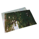 Forest Tapestry Tree Oak Decor, Landscape Foggy Scene and Stream View Paint B6C7