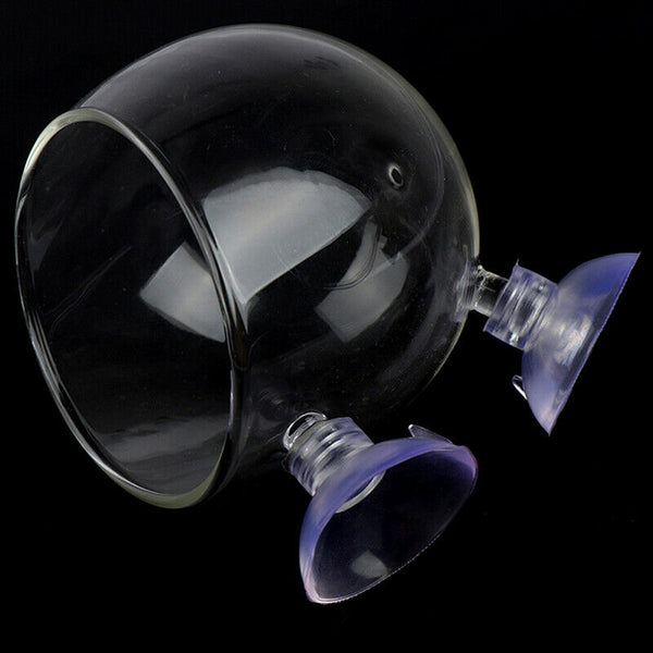 Fish Tank Mini Crystal Glass Pot Water Potted Aquatic Planting Cylinder Cup JR