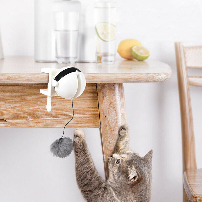 Electric Automatic Lifting Ball Cat Teaser Pet Puzzle Interactive Toys