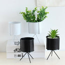 Iron Flower Planter Plant Pot Wall Shelf Vase Rack Window Boxes Basket White