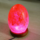USB Charging Crystal Decor Hand Crafted Natural Himalayan Salt Lamp Night Light