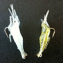 9Pcs Soft Shrimp Fishing Bait Worm Lures Hook Crankbaits Hooks Baits Tackle