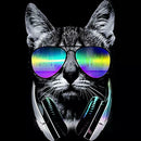 5D DIY Full Drill Diamond Painting Cross Stitch Embroidery Home Art (Cat06)