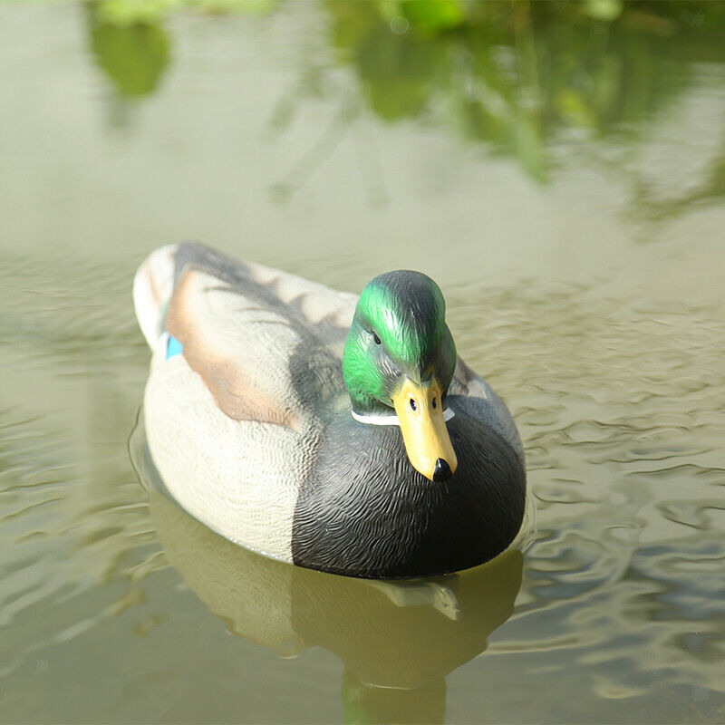 Fishing Hunting Decoy Plastic Duck Decoy Drake with Weighted Floating Kee