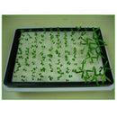 5pcs Seedling Sponge Soilless Hydroponic Vegetables Seedling Nursery Pots